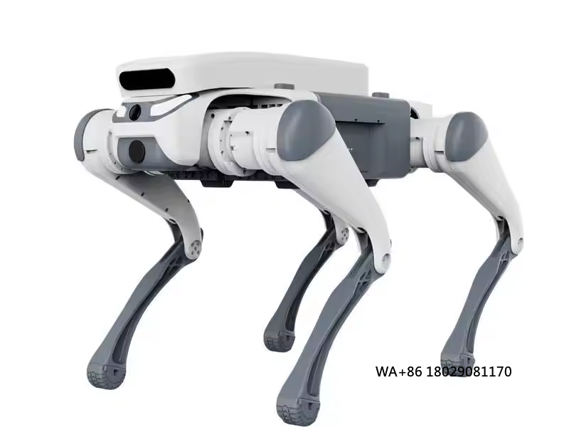 스턴트 원격 조종 교육용 장난감 지능형 급식기 터치 센 - Remote Control Toys 리뷰 및 가격